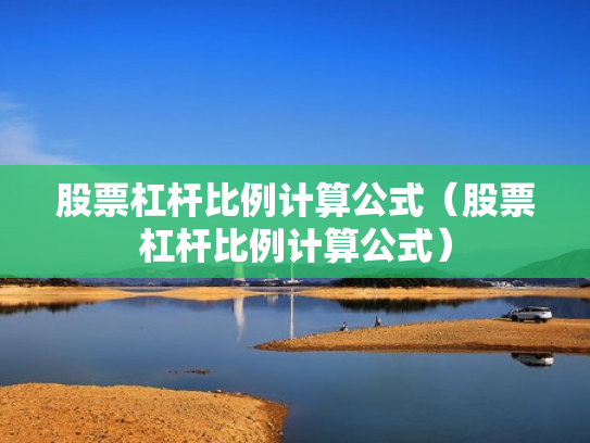 股票杠杆比例计算公式（股票杠杆比例计算公式）