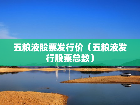 五粮液股票发行价（五粮液发行股票总数）