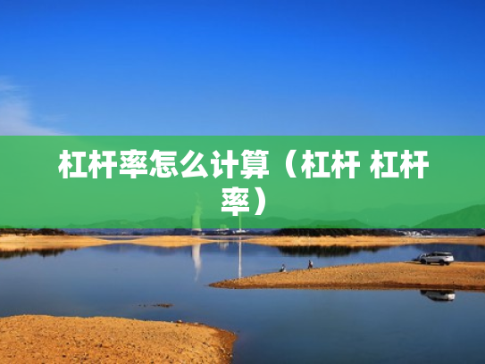 杠杆率怎么计算（杠杆 杠杆率）