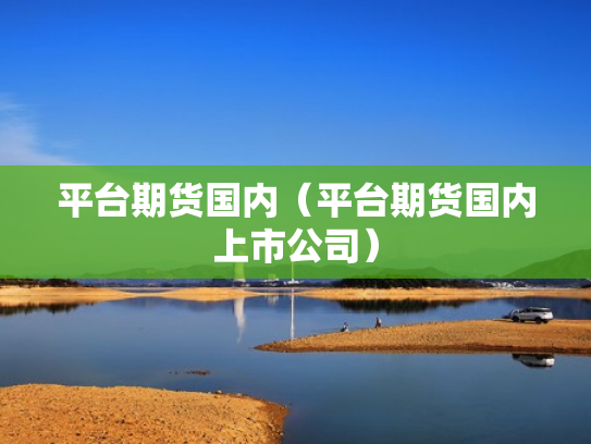 平台期货国内（平台期货国内上市公司）