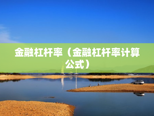 金融杠杆率（金融杠杆率计算公式）