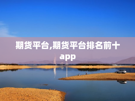 期货平台,期货平台排名前十app