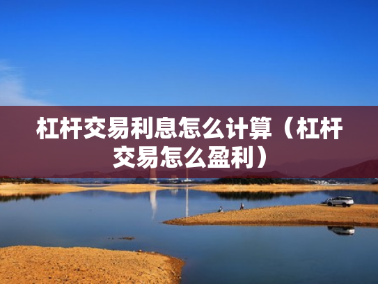 杠杆交易利息怎么计算（杠杆交易怎么盈利）