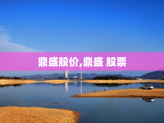 鼎盛股价,鼎盛 股票