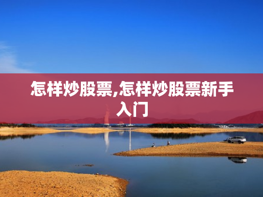 怎样炒股票,怎样炒股票新手入门