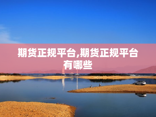 期货正规平台,期货正规平台有哪些