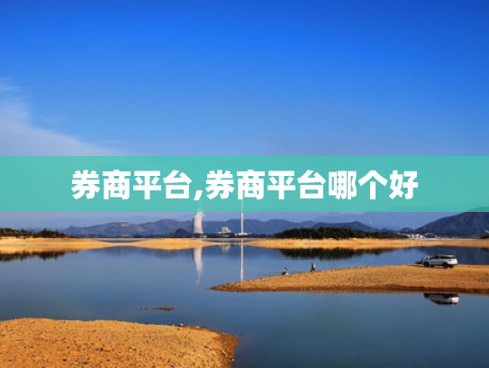 券商平台,券商平台哪个好