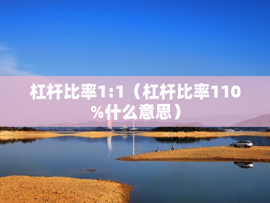 杠杆比率1:1（杠杆比率110%什么意思）