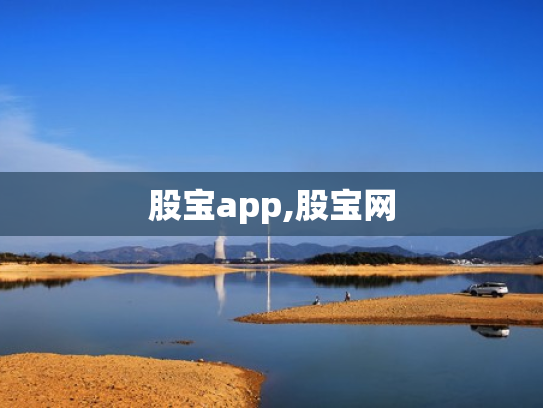 股宝app,股宝网