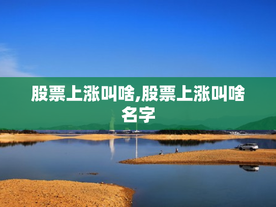 股票上涨叫啥,股票上涨叫啥名字
