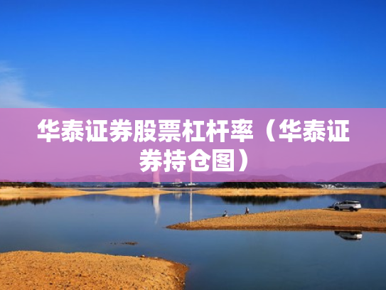 华泰证券股票杠杆率（华泰证券持仓图）
