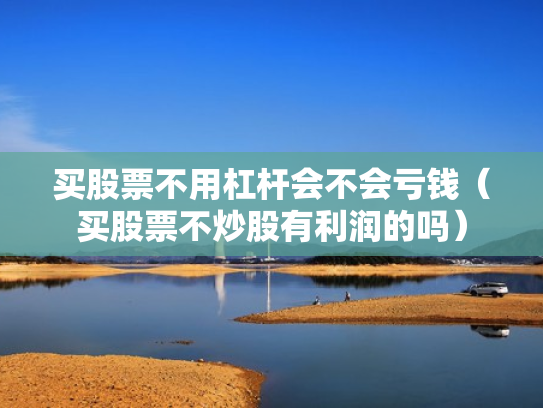 买股票不用杠杆会不会亏钱（买股票不炒股有利润的吗）
