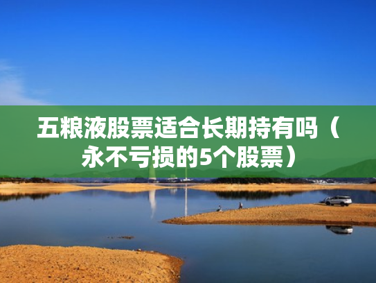 五粮液股票适合长期持有吗（永不亏损的5个股票）