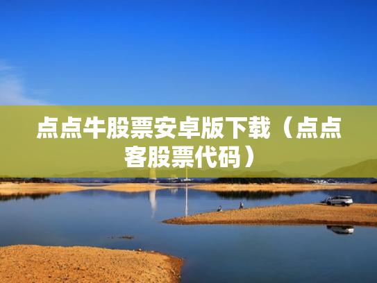 点点牛股票安卓版下载（点点客股票代码）
