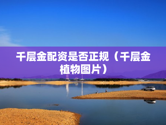 千层金配资是否正规（千层金植物图片）