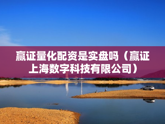 赢证量化配资是实盘吗（赢证上海数字科技有限公司）
