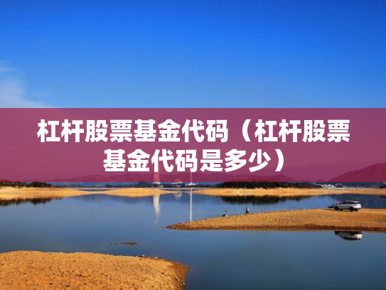 杠杆股票基金代码（杠杆股票基金代码是多少）