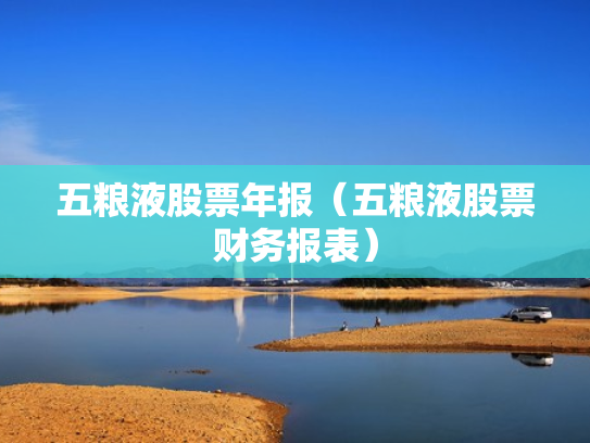 五粮液股票年报（五粮液股票财务报表）