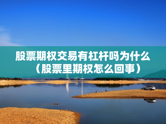 股票期权交易有杠杆吗为什么（股票里期权怎么回事）