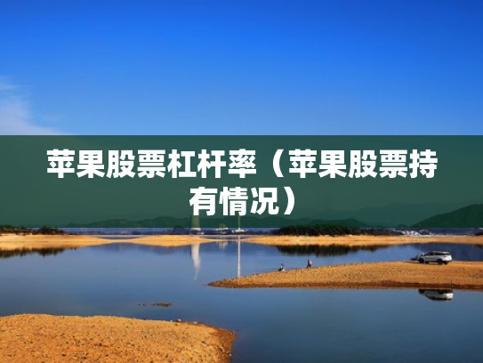 苹果股票杠杆率（苹果股票持有情况）