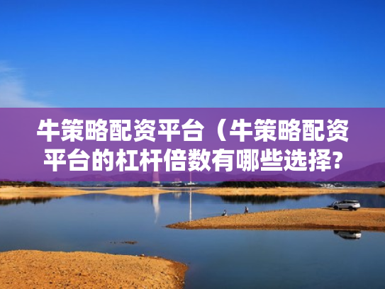 牛策略配资平台（牛策略配资平台的杠杆倍数有哪些选择?）
