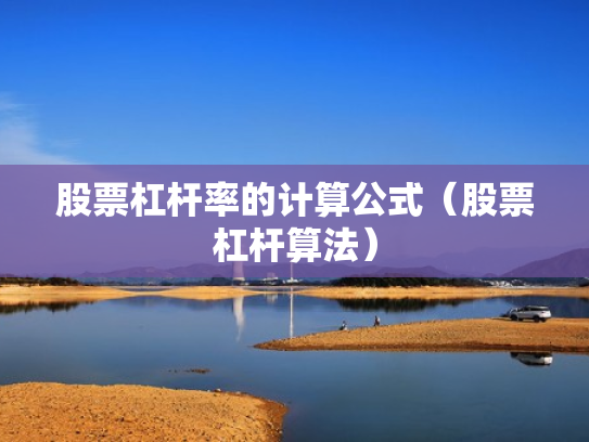 股票杠杆率的计算公式（股票杠杆算法）