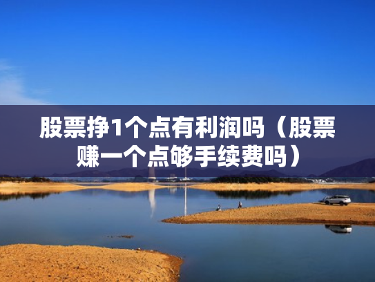 股票挣1个点有利润吗（股票赚一个点够手续费吗）