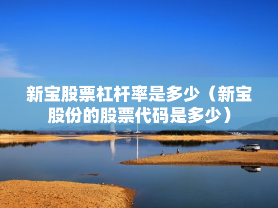 新宝股票杠杆率是多少（新宝股份的股票代码是多少）