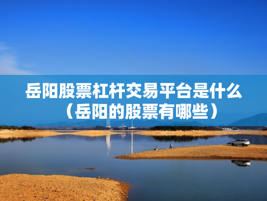 岳阳股票杠杆交易平台是什么（岳阳的股票有哪些）