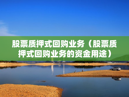 股票质押式回购业务（股票质押式回购业务的资金用途）