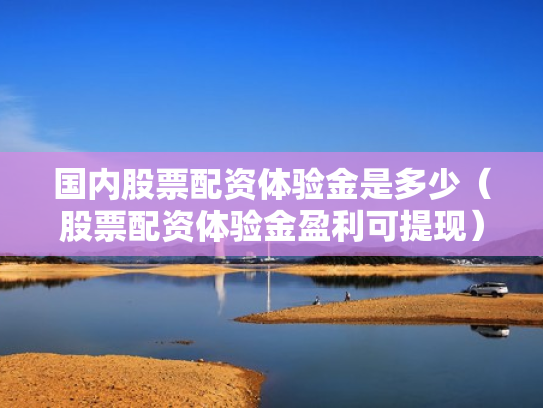 国内股票配资体验金是多少（股票配资体验金盈利可提现）