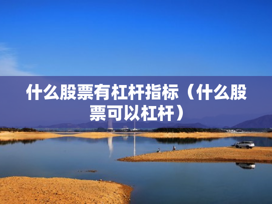 什么股票有杠杆指标（什么股票可以杠杆）