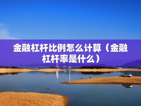 金融杠杆比例怎么计算（金融杠杆率是什么）