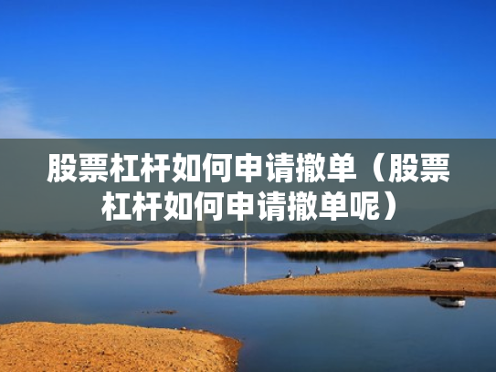 股票杠杆如何申请撤单（股票杠杆如何申请撤单呢）
